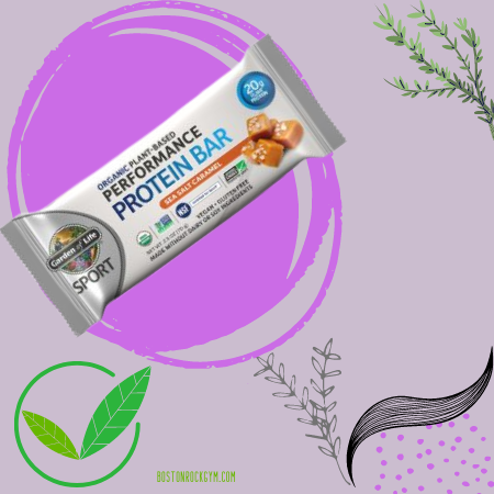 Garden of Life Organic Sport vegan Protein Bar