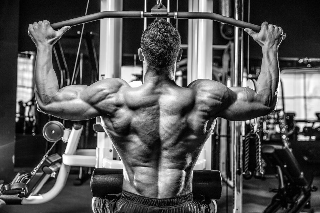 How Long Does A Pump Last 2021: How to Keep Muscle Pump (Do's & Don'ts) 6 muscule11