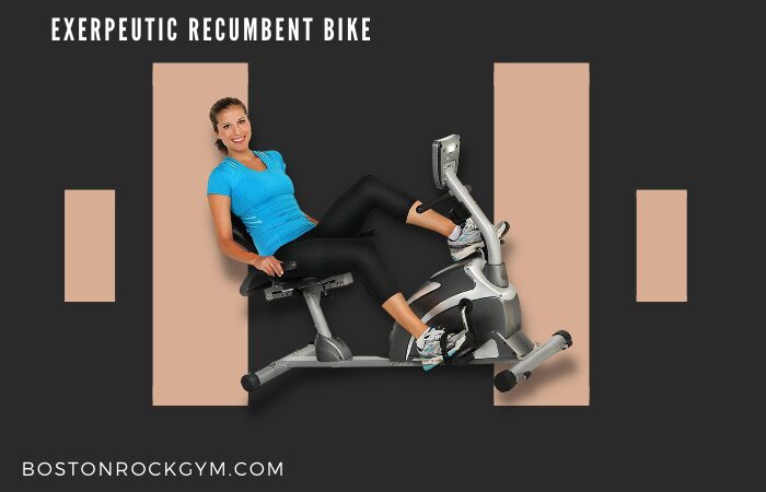 Exerpeutic Recumbent Bike