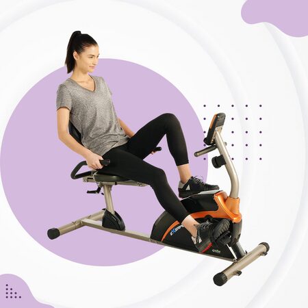 EXERPEUTIC Weight Capacity Recumbent Exercise Bike