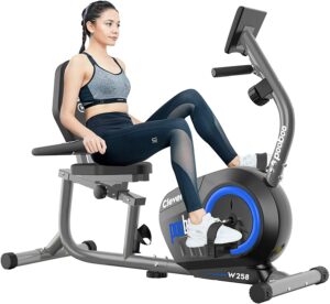 Pooboo Recumbent Exercise Bikes for Seniors