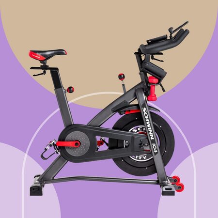 Schwinn Exercise Bike