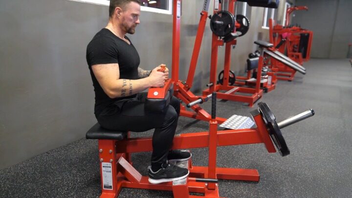 Seated Calf Raise Machine