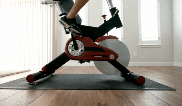 best budget exercise bike fot your home