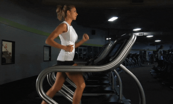 best treadmill for indoor exercise