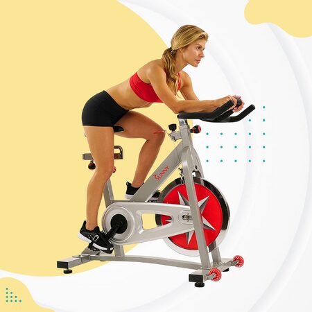 Sunny Health & Fitness Indoor Bike