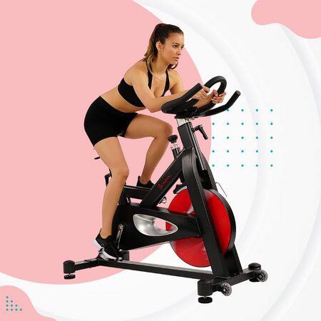Sunny Health & Fitness SF-B1714