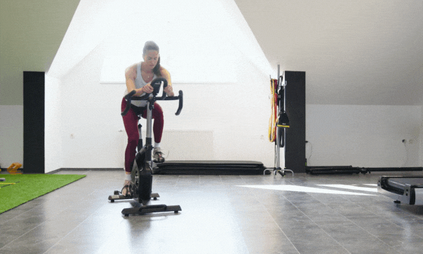 spin bike for short people