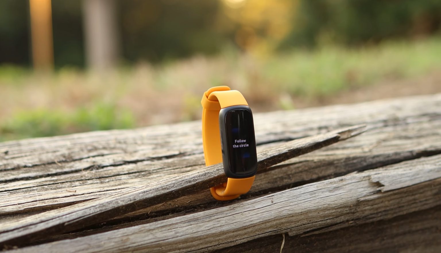 How Accurate Are Fitbit Calories Burned?
