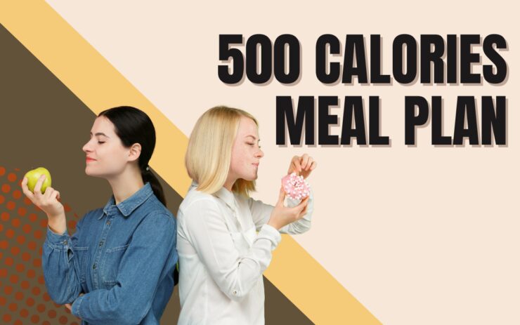 500 Calories Meal Plan