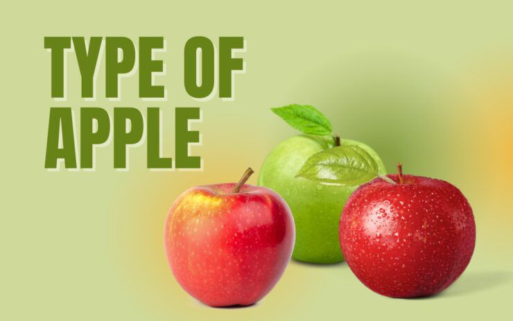 Type of Apple