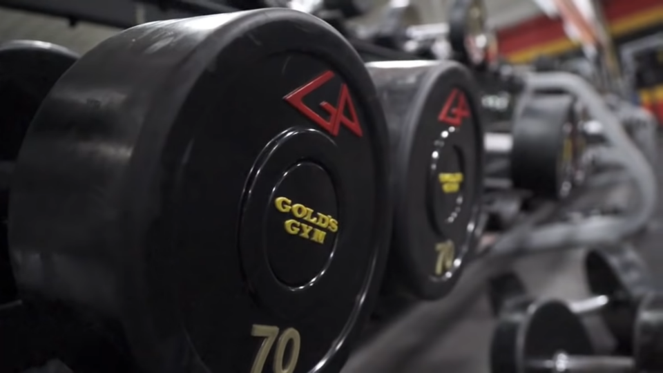 Gold’s Gym Guest Pass 2024 Review Boston Rock Gym