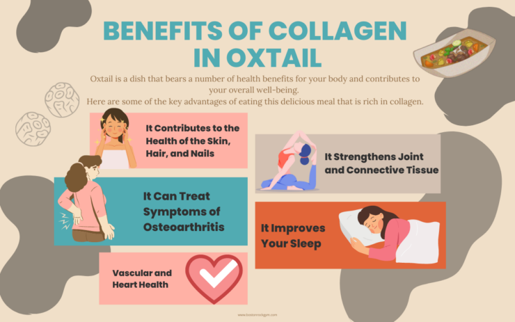 infographic oxtail collagen benefits