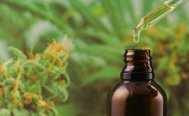 CBD Oil Tincture