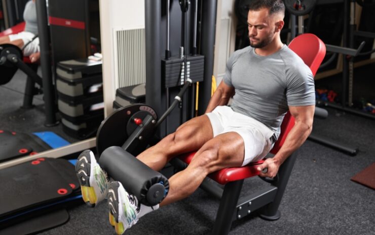 Dumbbell Leg Extensions