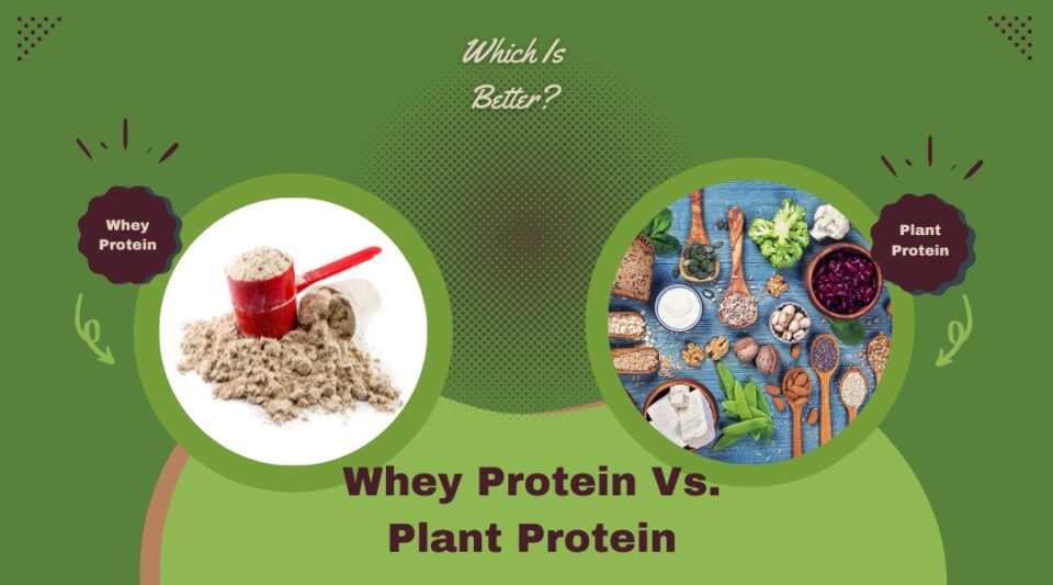 Protein Whey vs Plant
