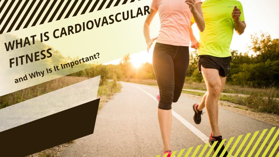 cardiovascular fitness