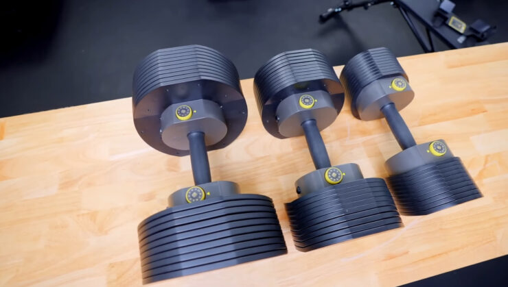 Budget Adjustable Dumbbells