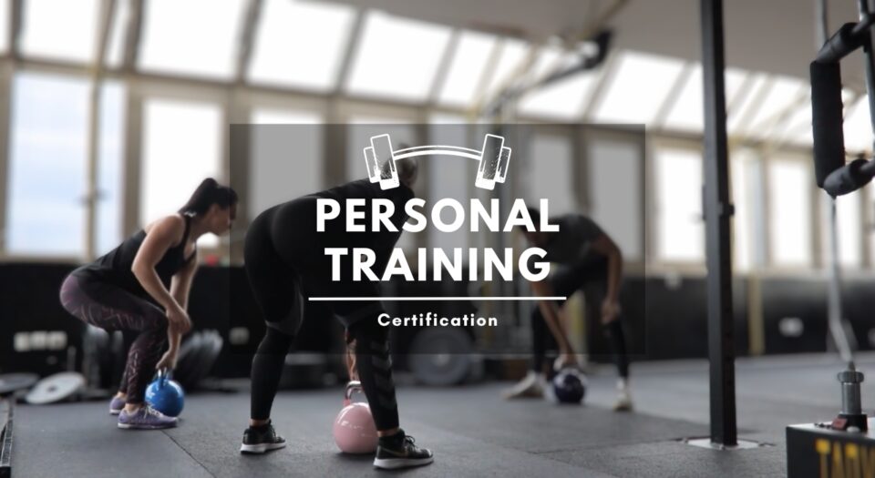 Invest In Your Fitness Career How To Earn Your Personal Training Certification