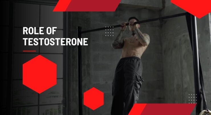 The Role of Testosterone in Athletic Performance