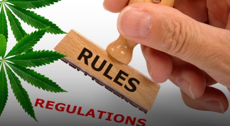Cannabis and Sports Regulations