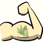 Maximizing Workout Results: CBD for Muscle Recovery Explained
