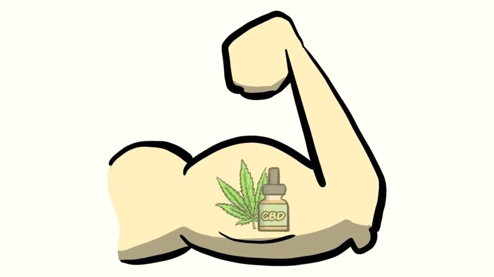 Maximizing Workout Results: CBD for Muscle Recovery Explained
